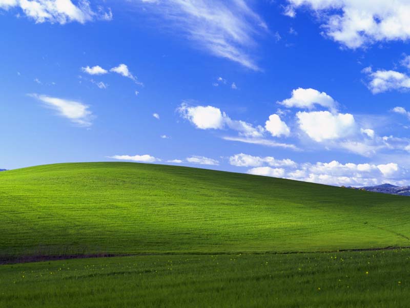 Microsoft Windows XP Bliss Background